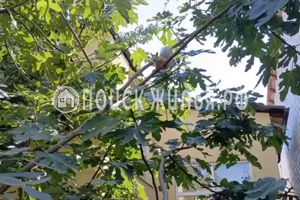 Частный сектор «Фордевинд», Анапа