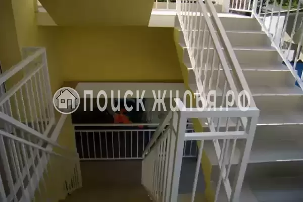 «Остров Сокровищ», Лоо