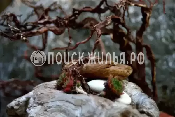 Отель «Вилла Агрия», Ольгинка