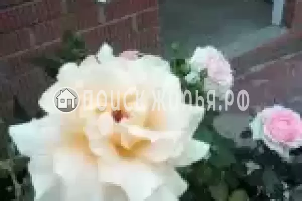 Частный сектор «Сирень», Пересыпь