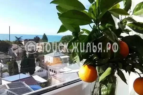 Гостевой дом «Анна Сария», Гагра