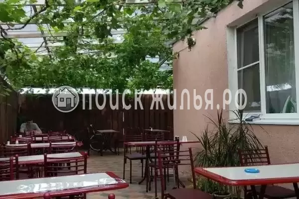 «Александрия», Кучугуры «Александрия», Кучугуры