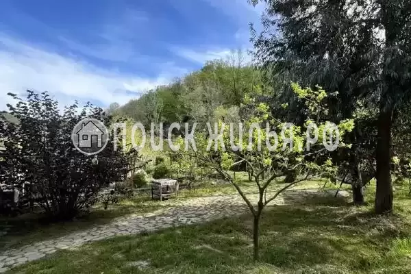 «Пальма», Кудепста