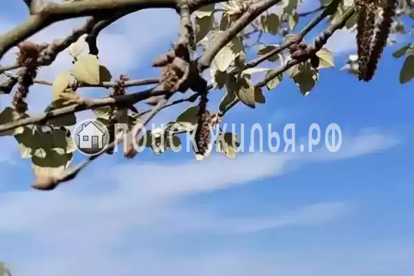 «В Ейске», Ейск «В Ейске», Ейск