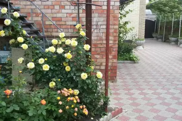 Дом под ключ, ул.Энгельса, д.96