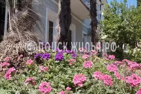 Гостевой дом «Dioskuria», Сухум