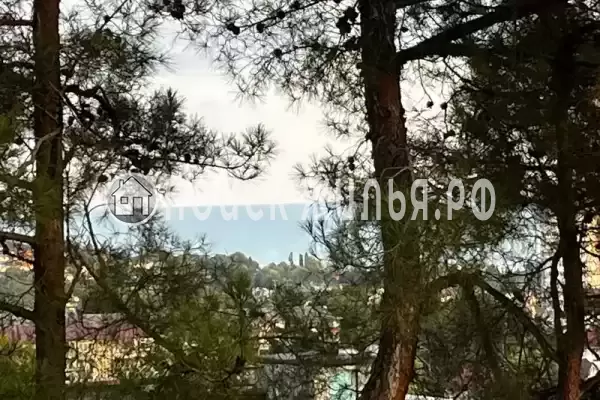 «Сказка», Лазаревское «Сказка», Лазаревское