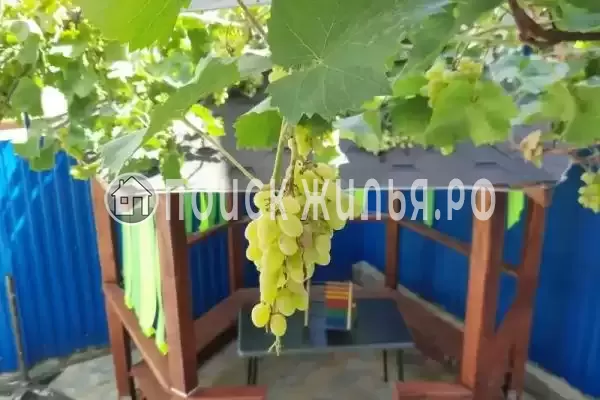 «Афалина», Витязево