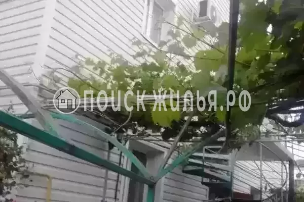 «Аркадия», Витязево