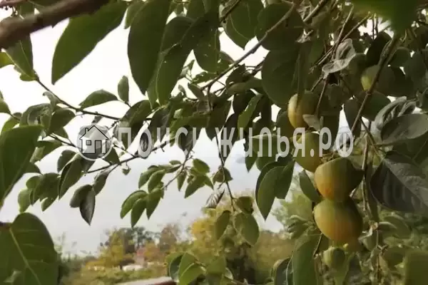 Гостевой дом «Взгорье», Гагра