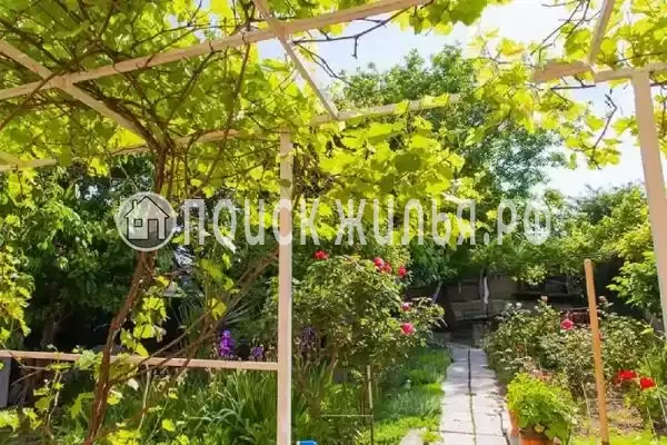 «Бетта», Бетта «Бетта», Бетта