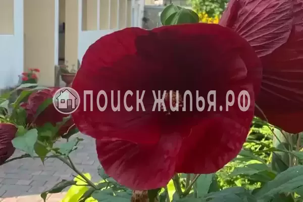 Частный сектор «Веранда», Судак