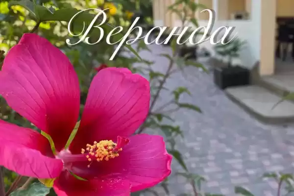 Гостевой дом «Веранда», Республика Крым, Судак, Пограничников, д. 16