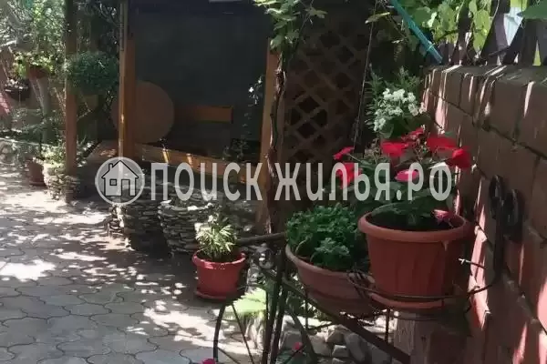 «Инжир», Новомихайловский «Инжир», Новомихайловский