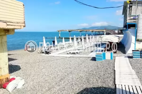 «Летучий голландец», Адлер