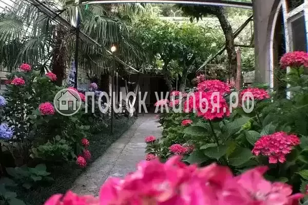 Частный сектор «Елена», Солоники Частный сектор «Елена», Солоники