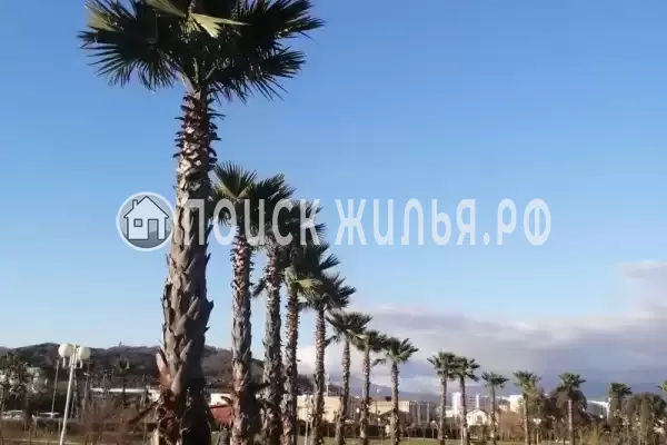 Апартаменты «В Сириусе», Сириус