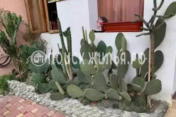 «Анита», Краснодарский край, Сочи, Лоо, Декабристов, д.127А