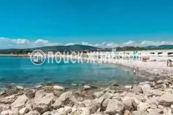 «Камелия», Геленджик