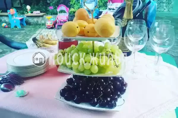 «Вега», Феодосия «Вега», Феодосия