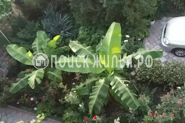 «Вега», Феодосия «Вега», Феодосия