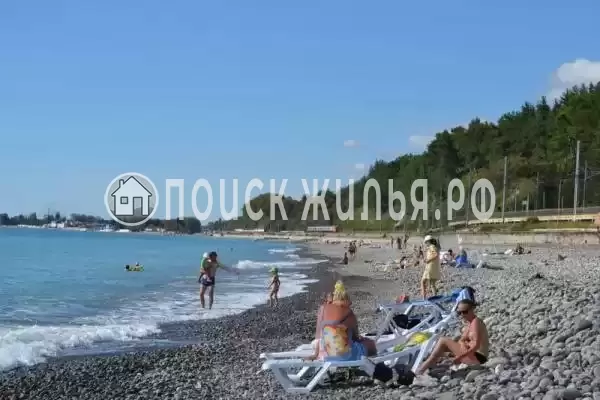 «Солоники», Солоники «Солоники», Солоники