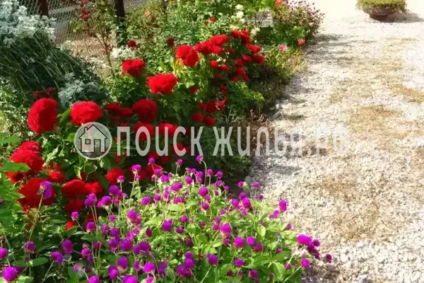 Гостевой дом «Фортуна», Пицунда Гостевой дом «Фортуна», Пицунда