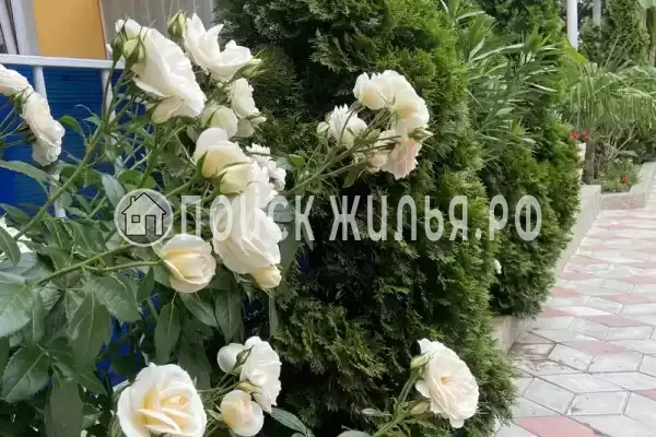 Частный сектор «Прибой», Ольгинка Частный сектор «Прибой», Ольгинка