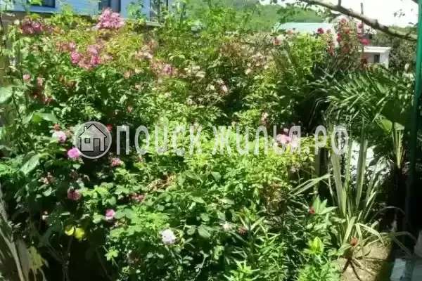 «Славянка», Лоо