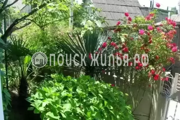 «Славянка», Лоо