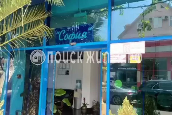 «София», Адлер «София», Адлер