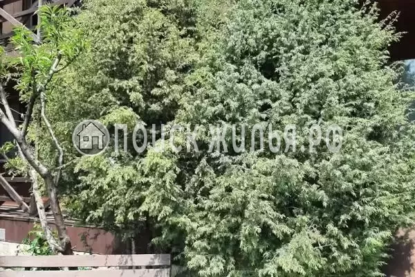 «Можжевеловый дворик», Витязево