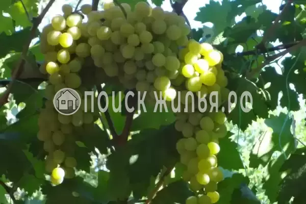 Частный сектор «На калинина», Ейск Частный сектор «На калинина», Ейск