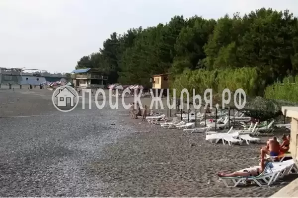 Гостевой дом «Мускат», Пицунда Гостевой дом «Мускат», Пицунда