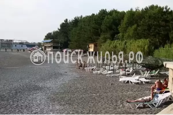 Гостевой дом «Мускат», Пицунда Гостевой дом «Мускат», Пицунда