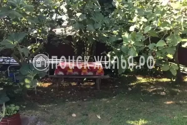 Гостевой дом «Уют», Новый Афон