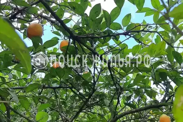 Гостевой дом «Марианна», Алахадзы