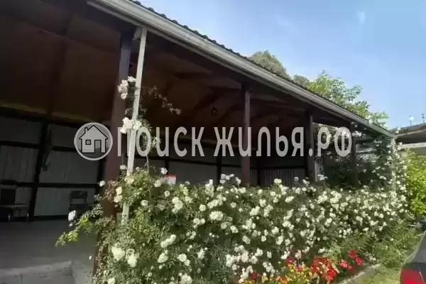 Гостевой дом «Leon», Республика Абхазия, Гагры, Пицунда, Нозадзе, д.59А Гостевой дом «Leon», Республика Абхазия, Гагры, Пицунда, Нозадзе, д.59А