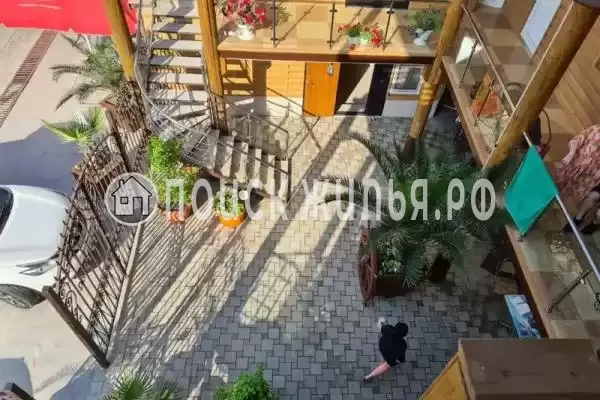 «Пальма финик», Сукко