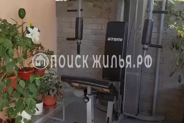 «Золотой рапан», Адлер