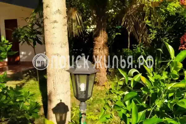 «Зеленый остров», Вардане