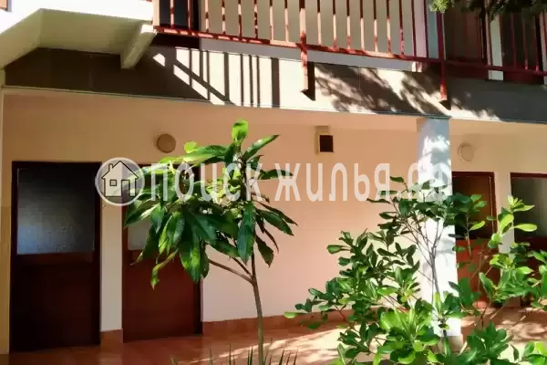 «Зеленый остров», Вардане