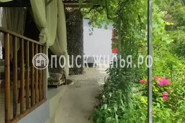 «У кедра», Совет-Квадже «У кедра», Совет-Квадже