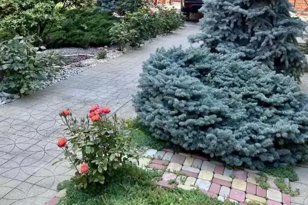 Гостевой дом «Аритэль», Краснодарский край, Геленджик, Адмирала Проценко, д. 3