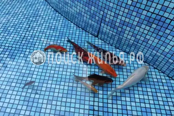 Частный сектор «Дом ГИД», Лазаревское