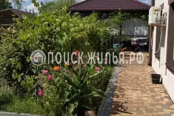 «Киш-миш», Криница