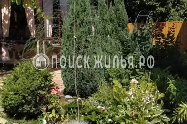 «Киш-миш», Криница