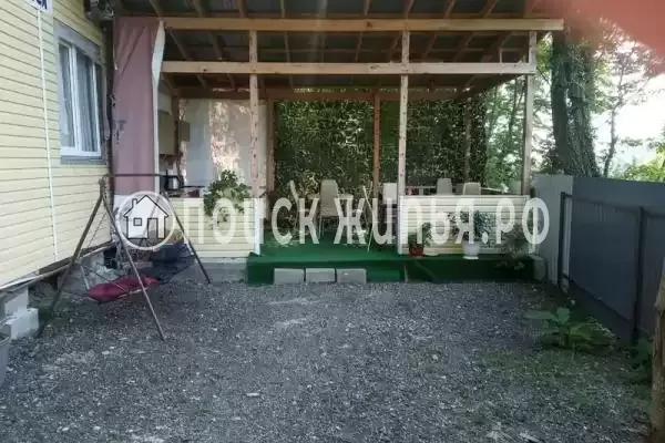 «Старая кляча», Шепси