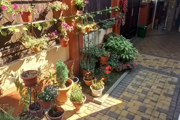 Частный сектор «Частное домовладение Курорт», Краснодарский край, Геленджик, Морская, д. 21