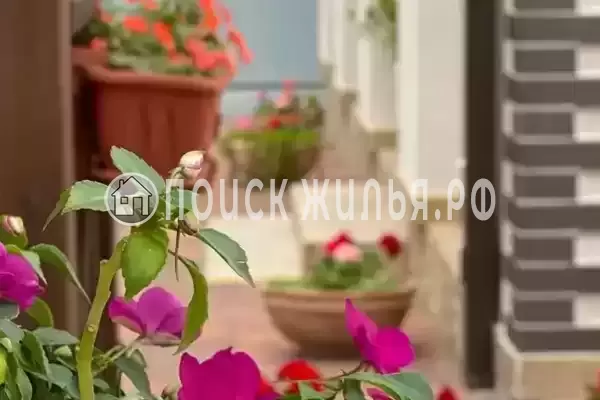 Частный сектор «Частный дом на Тельмана», Геленджик Частный сектор «Частный дом на Тельмана», Геленджик